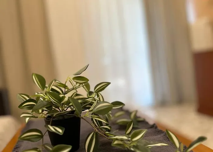 Apartment Alex